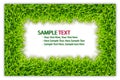 Green grass frame isolated Royalty Free Stock Photo