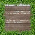 Green grass frame with vintage wooden background. Royalty Free Stock Photo