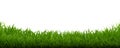 Green Grass Frame White Background Royalty Free Stock Photo