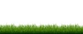 Green Grass Frame White Background Royalty Free Stock Photo