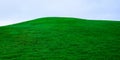Green grass fresh real field lawn on hill isolated on blue sky background