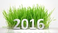 2016 of green grass