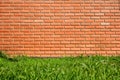 Green grass in front of red brick wall texture background Royalty Free Stock Photo