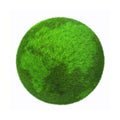 Green Grass Globe with Continent Shapes