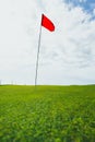 Green grass of golf course and red pin flag Royalty Free Stock Photo