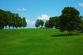 Green grass on a golf field Royalty Free Stock Photo