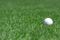 Green grass and golfball Royalty Free Stock Photo