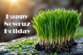 Green grass growing from soil with text HAPPY Nowruz Holiday