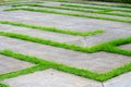Green Grass Grows Through Concrete Pathways in Unique Maze Design Royalty Free Stock Photo