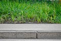 Green grass grows near the gray asphalt Royalty Free Stock Photo