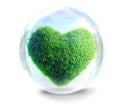 Green grass heart an ecology concept