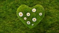 Green grass in heart shape with daisy flowers, concept of environment and sustainability