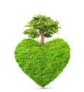 Green grass in heart shape and tree isolated 3D illustration Royalty Free Stock Photo