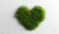 Green grass in heart shape on white background Royalty Free Stock Photo