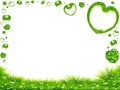 Green grass and hearts border