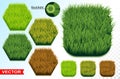 Green grass hexagon seamless pattern vector icon