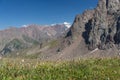 Green grass and high stone and snow capped mountains Royalty Free Stock Photo