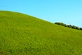 Green Grass Hill Royalty Free Stock Photo