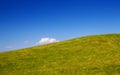 Green grass hill background. Royalty Free Stock Photo