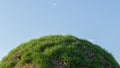 Green grass hill with dead leaf on blue sky. 3D rendering