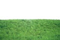 Green grass on hill isolated on white background Royalty Free Stock Photo