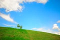 Green grass hill over blue sky Royalty Free Stock Photo