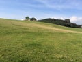 Green grass hill on a summers day Royalty Free Stock Photo