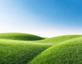 Green grass hills landscape with plain blue sky in the summer