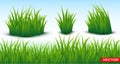 Green grass horizontal texture seamless background