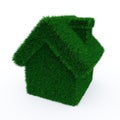 Green grass house