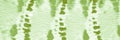 Green Grass Ikat Chevron. Tie-Dye Background. Royalty Free Stock Photo