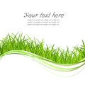 Green grass illustrate Royalty Free Stock Photo