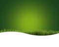 Green grass intensive green 3D render nature background