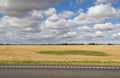 Green grass island, surrounded by agriculture field golden wheat Royalty Free Stock Photo