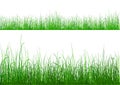 Green Grass - isolated on white Royalty Free Stock Photo