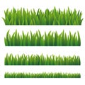 Green Grass, Isolated On White Background Royalty Free Stock Photo