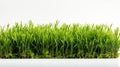 Green grass isolated on white background with copy space for your text. Generate AI Royalty Free Stock Photo