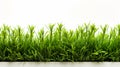 Green grass isolated on white background with copy space for your text. Generate AI Royalty Free Stock Photo