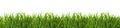Green grass isolated on white background. Royalty Free Stock Photo