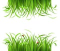 Green grass with ladybirds Royalty Free Stock Photo