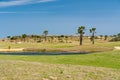 Green grass, lake and palm trees at a golf course on a summer day with clear blue sky Royalty Free Stock Photo