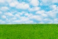 Green grass land field with blue sky cloud nature fresh background