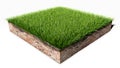 Green grass land piece Royalty Free Stock Photo