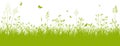 Green Grass Banner / Panorama on White Background