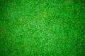 Green grass lawn background and texture for wallpaper and presentation