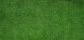 Green grass lawn for background or wall Royalty Free Stock Photo