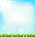 Green grass lawn with chamomiles on blue sky. Floral nature spring