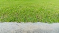 Green grass lawn colorful in the garden background