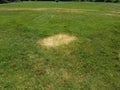 Green grass lawn with dead brown patches