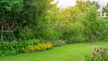 Green grass lawn in a garden with random pattern of grey concrete stepping stone , Flowering plant, shurb, trees on backyard Royalty Free Stock Photo